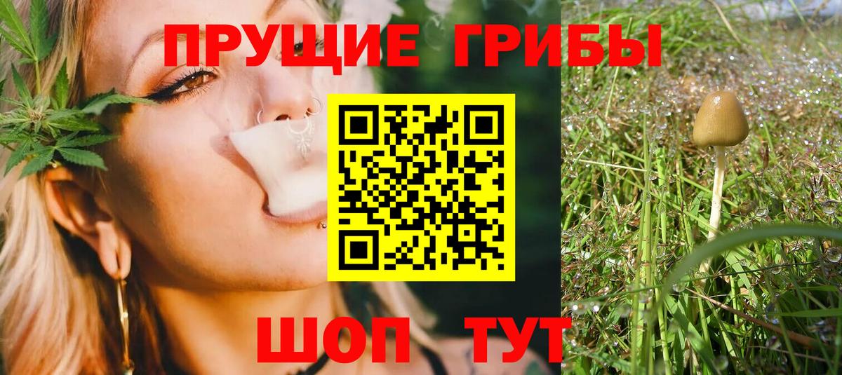 Троицк  Псилоцибиновые грибы Magic Shrooms  Вход с VPN 