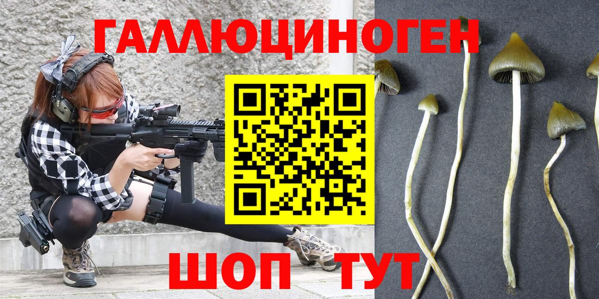 A PVP Троицк
